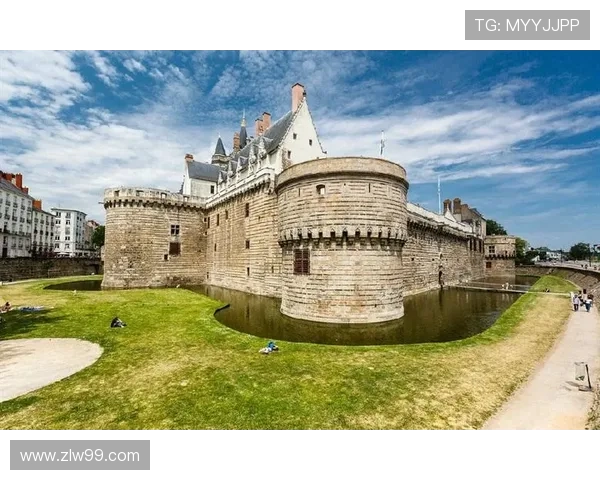 法国南特俱乐部辉煌历程与足球文化深度解析