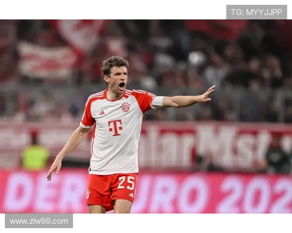 海登海姆俱乐部的发展历程与球队文化特色全面解析