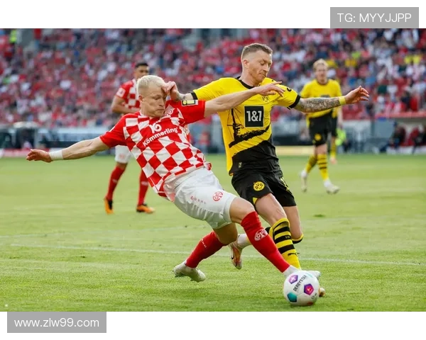 美因茨05崛起之路探秘从小城球队到德甲不容忽视的新势力 美因茨05崛起之路探秘从小城球队到德甲不容忽视的新势力